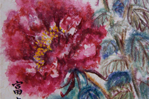 Chinese Peony Flower (thumbnail)